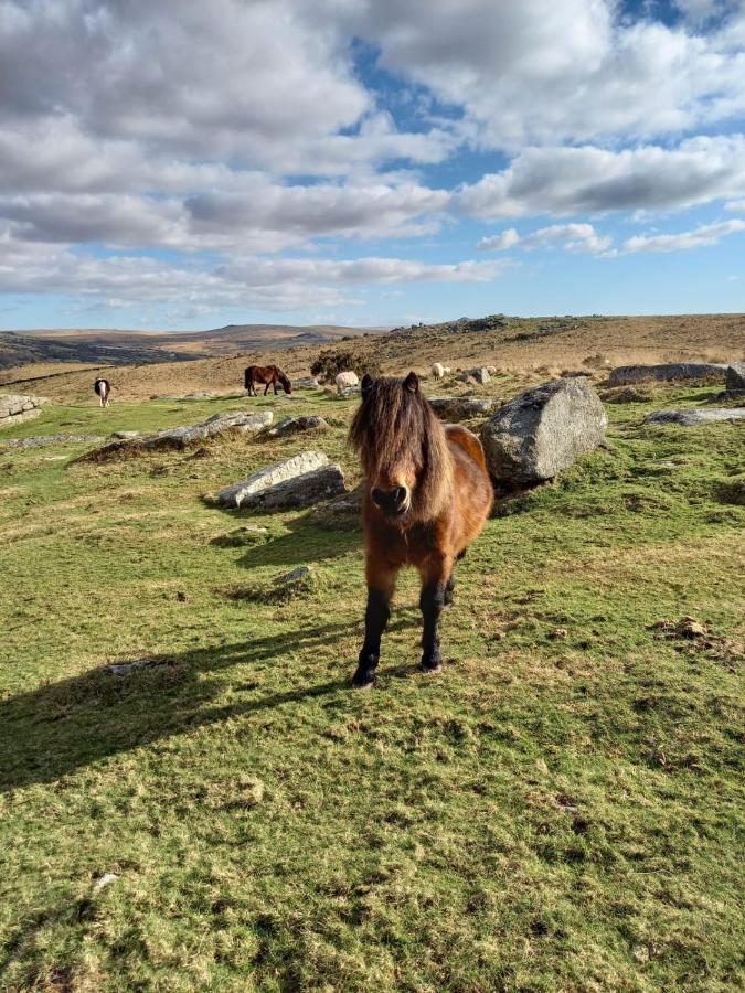 Dartmoor Inn Princetown Eksteriør billede